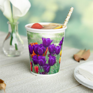 Gobelets En Papier Tulipes violettes foncées par beau temps dans le j