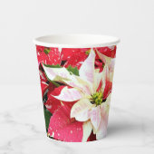 Gobelets En Papier Vacances Poinsettia Rouge et Blanc (Recto)
