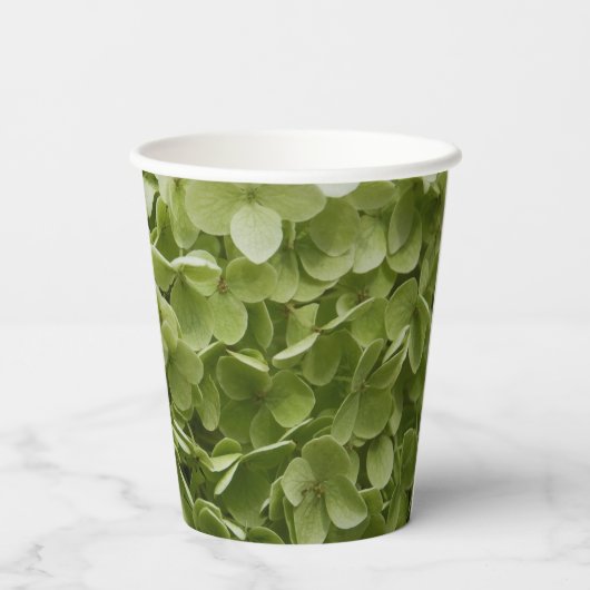 Gobelets En Papier Verte Annabelle Hydrangeas Coupes de papier Mariag (Verso)