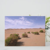 Gobi Desert Uitzicht (Staand voorkant)