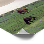 Gobiwoestijn | Wilde paarden Poster (Hoek)