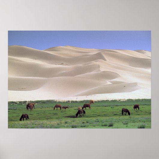 Gobiwoestijn | Wilde paarden Poster (Voorkant)