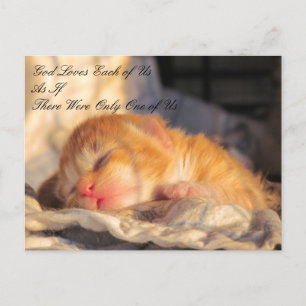 God houdt van ons Briefkaart met Kitten Photo