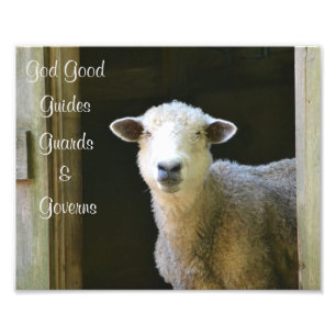 God is een goede schaap foto afdruk