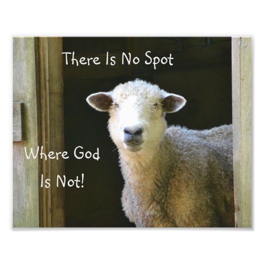 God is overal schaap foto afdruk (Voorkant)