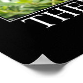 God Made Cats Artwork Poster (Hoek)