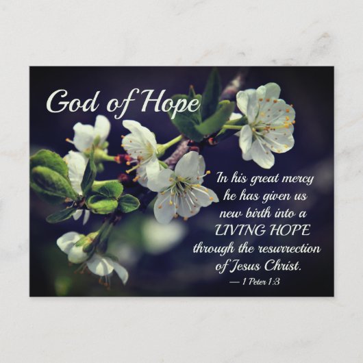 God van Hope Cherry Blossom Briefkaart (Voorkant)