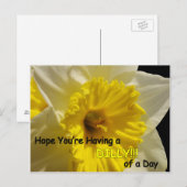 gode daffy d'une carte postale de jour (Devant / Derrière)