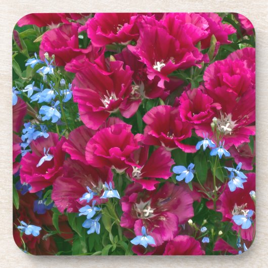 Godetia en Lobelia Onderzetters (Voorkant)