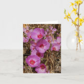 Godetia Note Kaart (Gele Bloem)