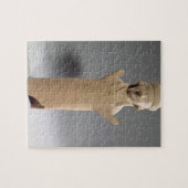 Godin of geloviger met verhoogde armen, figine, legpuzzel (Horizontaal)