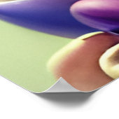 Godin van Ostara Poster (Hoek)