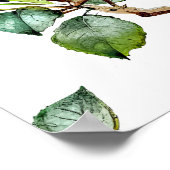 Gods geschenk is uw talent Roos Bloemen Ratio 2:3 Poster (Hoek)