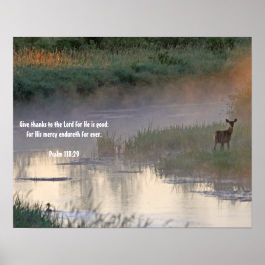 God's Goodness Poster (Voorkant)