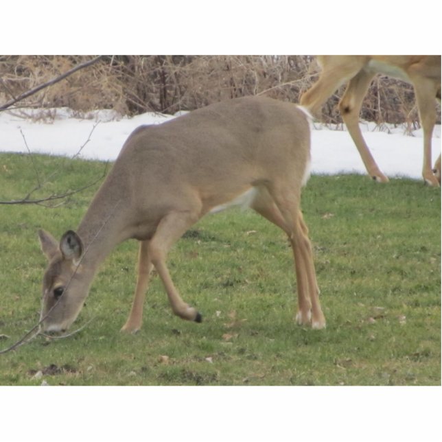 Gods Hands Staand Fotobeeldje (Voorkant)