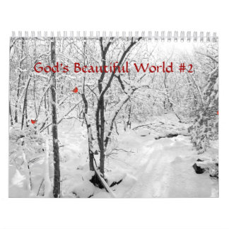 Gods mooie wereld #2 kalender