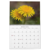 Gods mooie wereld #4 kalender (Mar 2026)