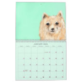 Gods Vredeskalender Kalender (Jan 2026)