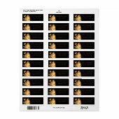 Godsdienst Jezus, Mary & Angels Kerstmis Etiket (Full Sheet)