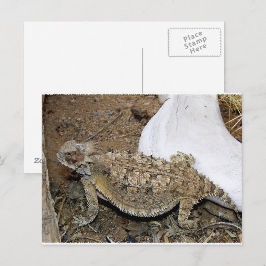 Godzilla Retourneert Briefkaart (Voorkant / Achterkant)