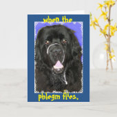 Goed begroeten ~ Newfoundland Kaart (Gele Bloem)