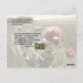 Goed beheerde tuin briefkaart (Achterkant)