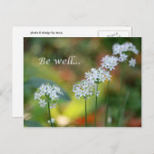 Goed Briefkaart (Voorkant / Achterkant)