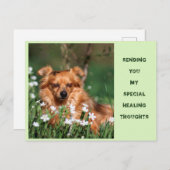 Goed - Healing - Gute Besserung  Briefkaart (Voorkant / Achterkant)