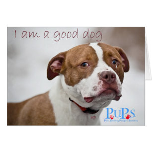 Goed Hond Pit Bull Redding