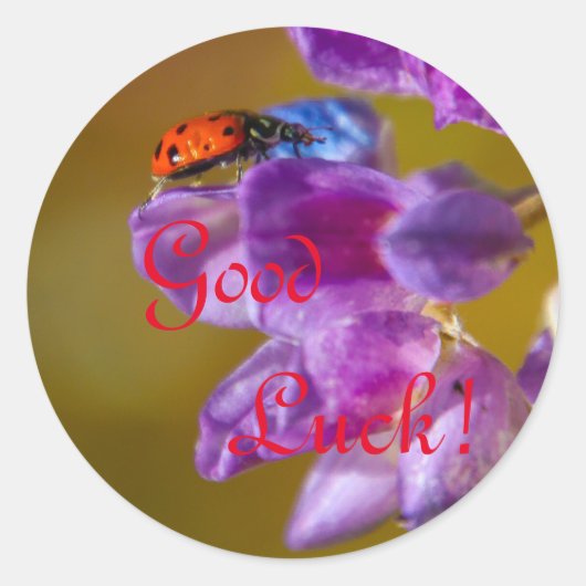 Goed Luck. Ronde Sticker (Voorkant)