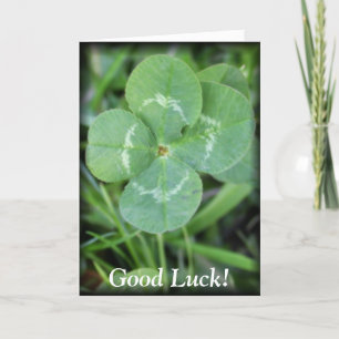 Goed Luck Vier Leaf Clover Kaart