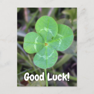 Goed Luck. Vier Leaf Clover-Kaart Briefkaart