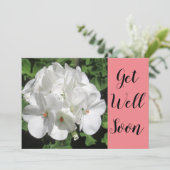 Goed-witte geranium fotografie (Staand voorkant)