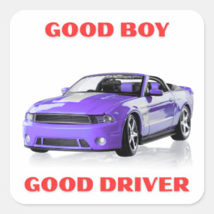 GOEDE BESTUURDER BLEU SPIERKRACHT AUTO GRAPHIECKE VIERKANTE STICKER