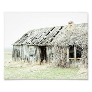 Goede Botten boerderij Foto Afdruk