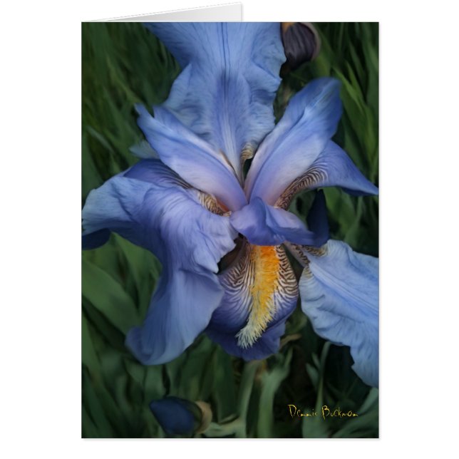 Goede buren (Voorkant)