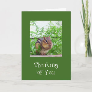 Goede Dag Wilde Dieren Kaart