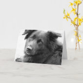 Goede genezing kaart (Gele Bloem)