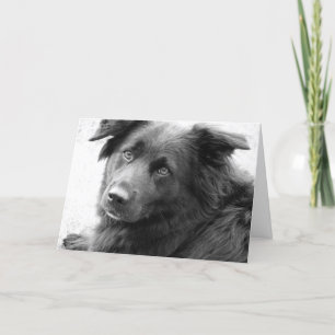 Goede genezing kaart