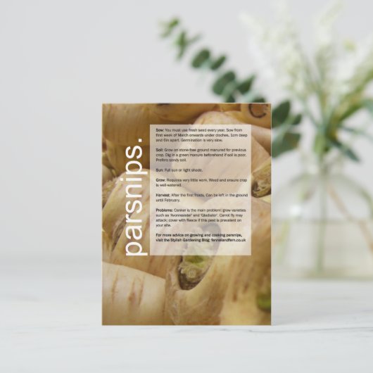 Goede groeigids: Wereldbol artichokes en snips Briefkaart (Staand voorkant)