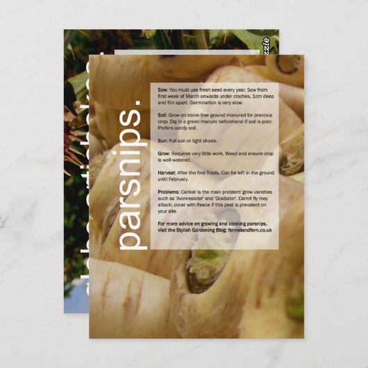 Goede groeigids: Wereldbol artichokes en snips Briefkaart (Voorkant / Achterkant)