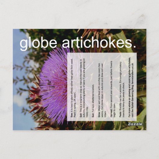 Goede groeigids: Wereldbol artichokes en snips Briefkaart (Achterkant)