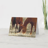 Goede Heer Remuda Herd in de Hemel Sympathie Kaart (Achterkant)