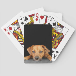 Goede hond pokerkaarten