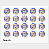 Goede hond Stickers (Vel)