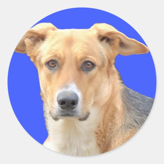 Goede hond Stickers (Voorkant)