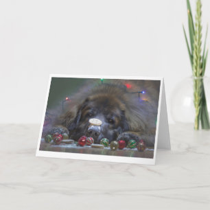 Goede Kerstkaart Leonberger Feestdagen Kaart