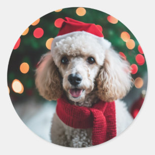 Goede Meisje Kerstman Foto van Pet Poedel Kerstmis Ronde Sticker