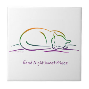 Goede Nacht Mooie Prins (Kat) Tegeltje