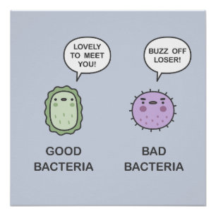 Goede, slechte bacteriën perfect poster